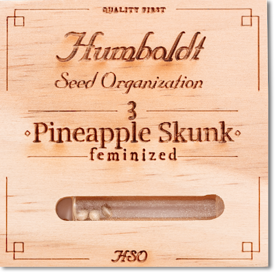   Pineapple Skunk