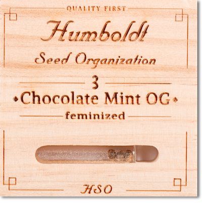   Chocolate Mint OG